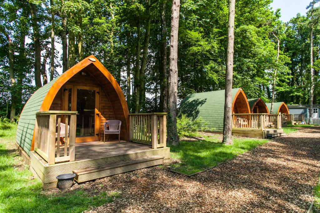海斯Pinewood - At Port Lympne Reserve的树林中一组绿色和木制小屋