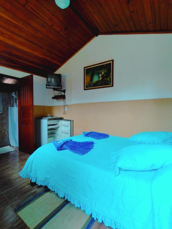 博凯纳-迪米纳斯Quarto Maringá Minas的一间卧室配有一张带蓝色床单的大床