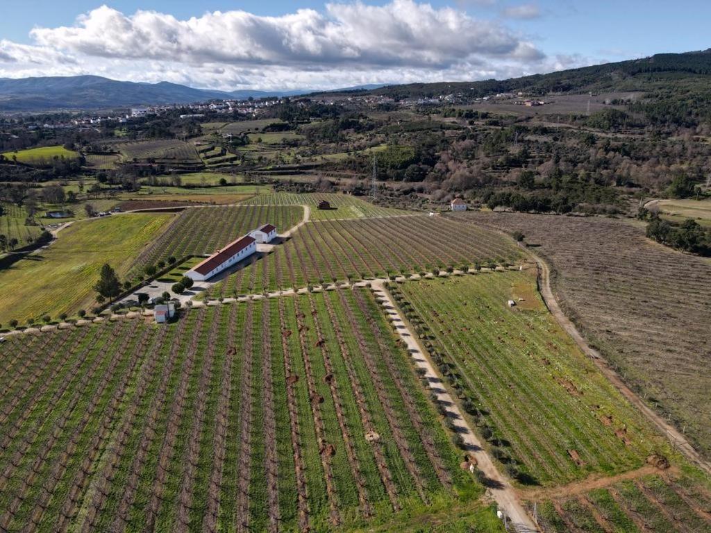 科维良Quinta Lourena - Casa do Caseiro的拖拉机,从空中欣赏农田景色