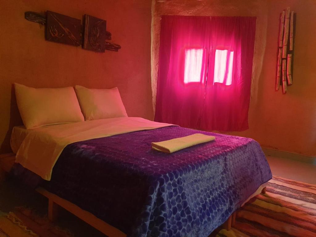 瓦尔扎扎特ecolodge bivouac des aigles的一间卧室配有一张带紫色毯子的床和窗户。