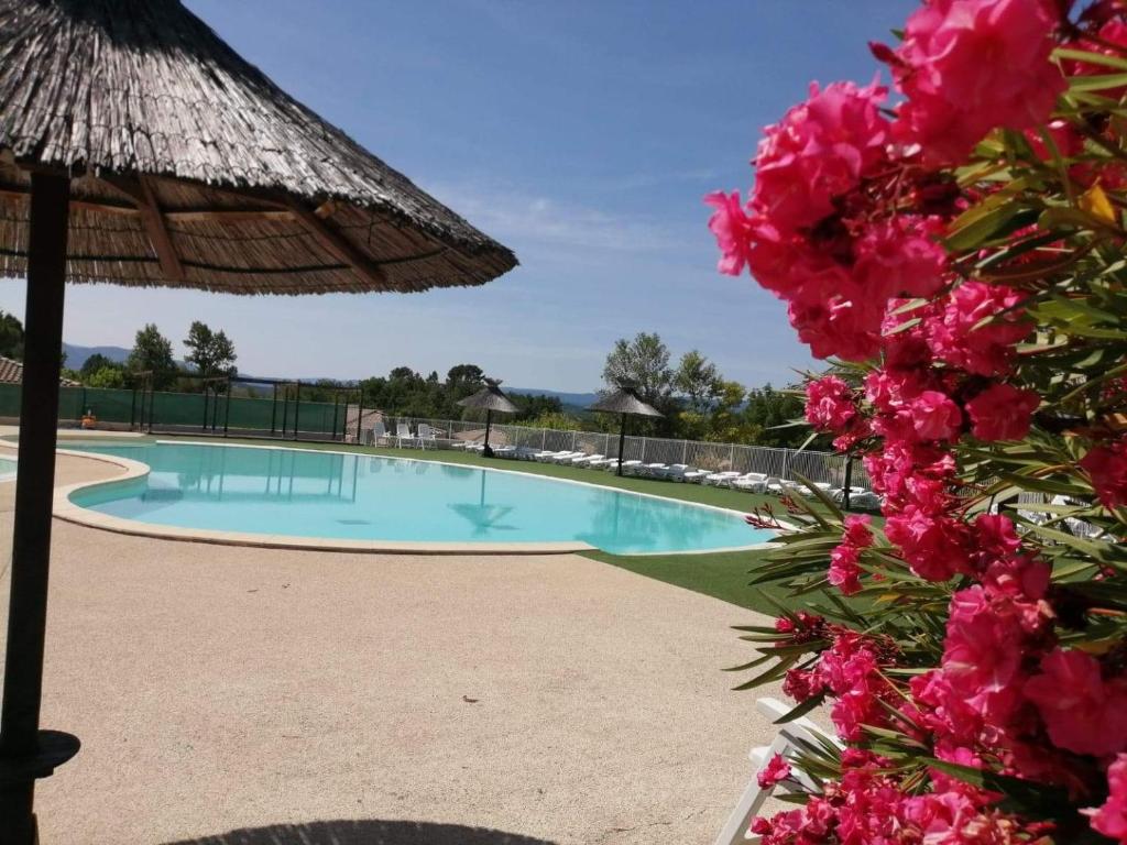 格罗斯皮耶尔雷Domaine des Garrigues的一个带草伞和粉红色花卉的度假游泳池