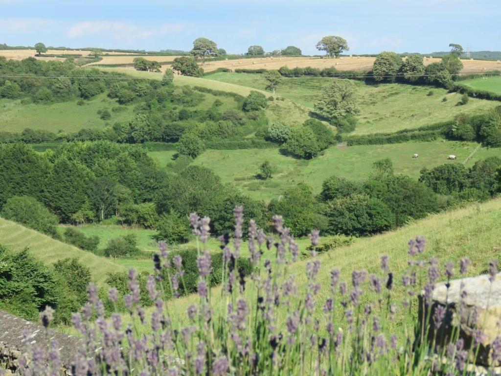 巴里Beautiful 3-Bed Cottage in Llancarfan Nr Cardiff的一片绿山,花紫色