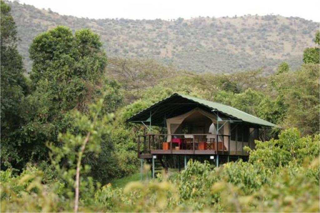 OlolaimutiekSekenani Camp Maasai Mara的森林中间带甲板的房子