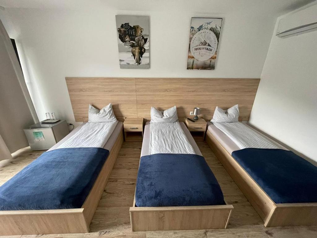 比斯特里察Pensiune CasaMircea的一间客房内配有两张床的房间