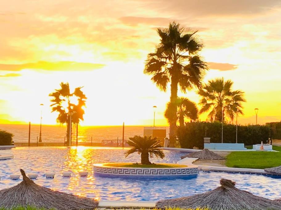 拉曼加戴尔马尔梅纳Apartment Jardines Del Mar的一个带棕榈树和大海的游泳池的度假酒店