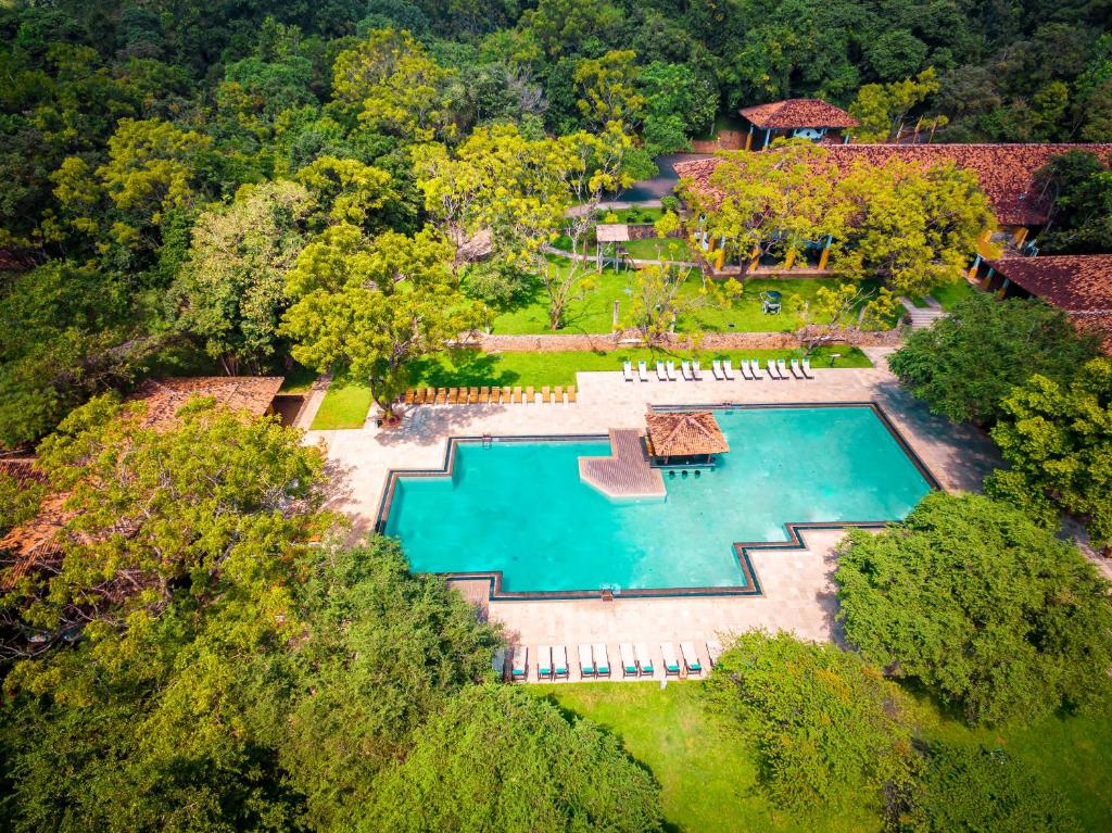 锡吉里亚Amaya Lake Dambulla的享有庭院游泳池的顶部景色