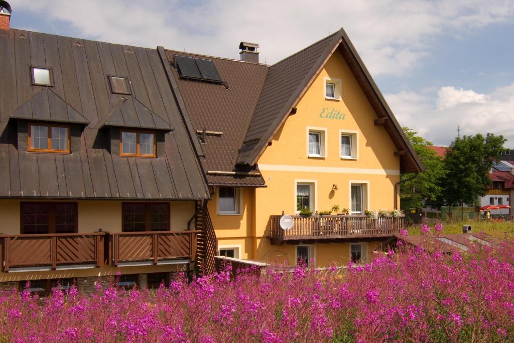 博兹达尔Ubytování Edita的一座在前面布满紫色花的建筑
