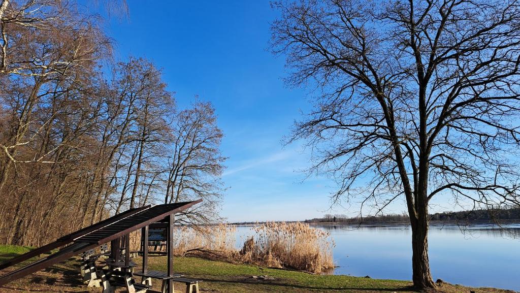 斯诺科Apartament Nad Zalewem Zegrzyńskim的湖畔的野餐棚,有树