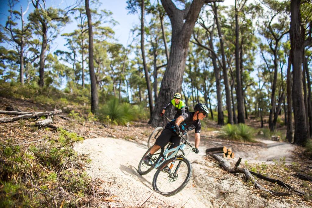 圣海伦斯St Helens Mountain Bike Base的骑着自行车与狗一起在小径上的人