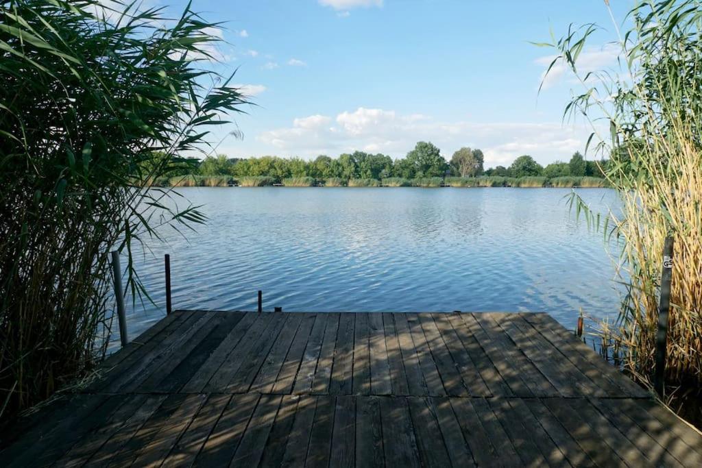 TiszaugKis Tisza fishing guest house的一座位于湖面上,有树木的码头