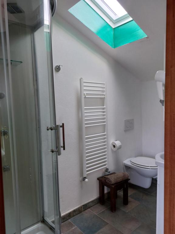 Valeriano Lunense阿格瑞托瑞斯摩奥里法阿祖拉酒店的带淋浴的浴室以及带天窗的卫生间。