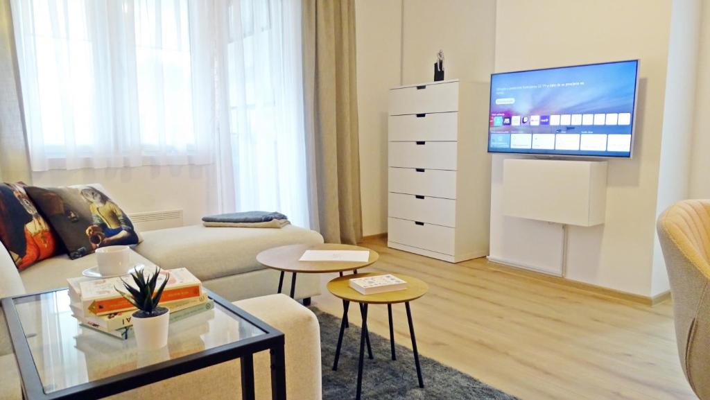 科普里夫尼察Apartment No15的带沙发和电视的客厅
