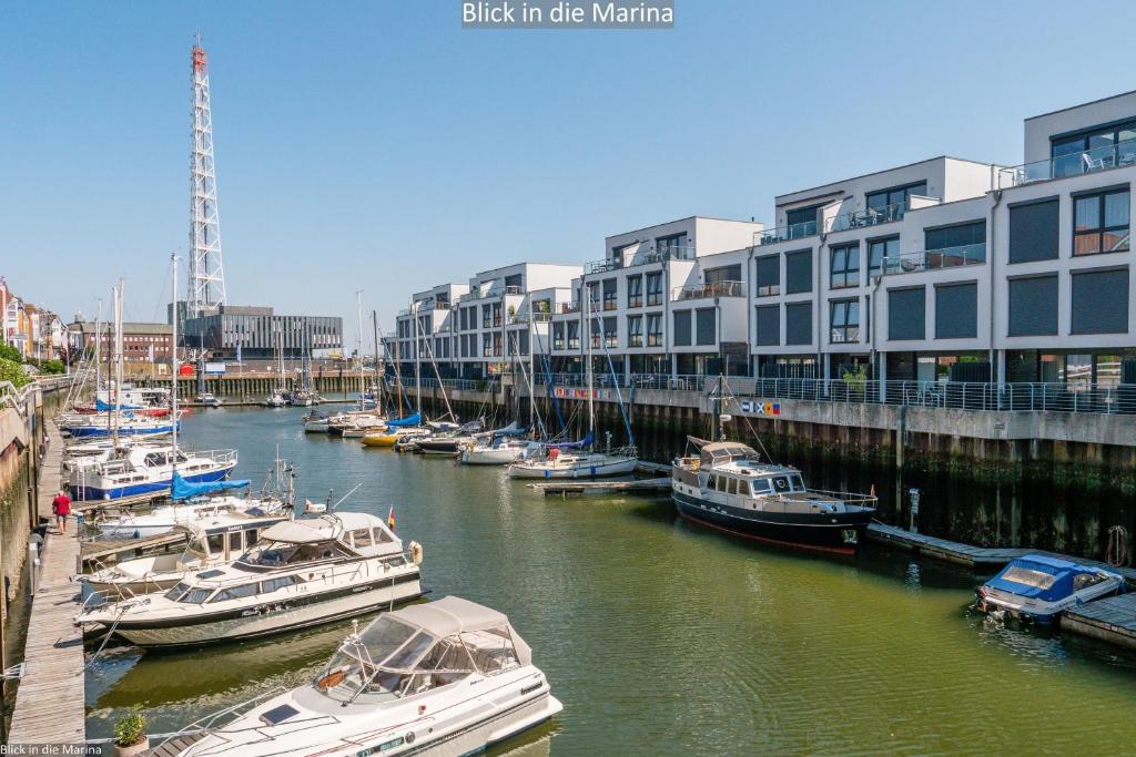 库克斯港Marina 22C的一群船停靠在河里,有建筑物