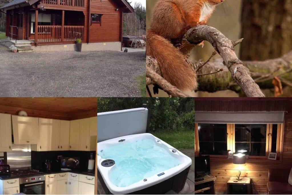 基斯Red Squirrel log cabin with hot tub的一张照片拼在一起,上面有松鼠,放在厨房和浴缸