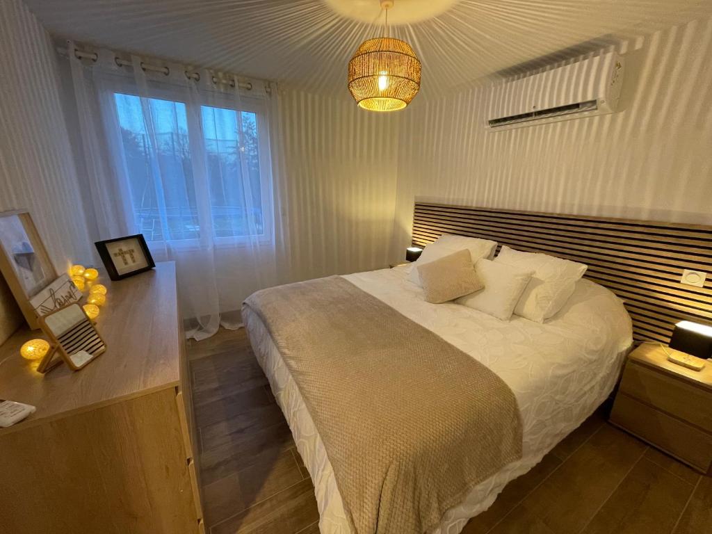 圣艾尼昂Les oiseaux du paradis的一间卧室配有一张大床和一个吊灯。