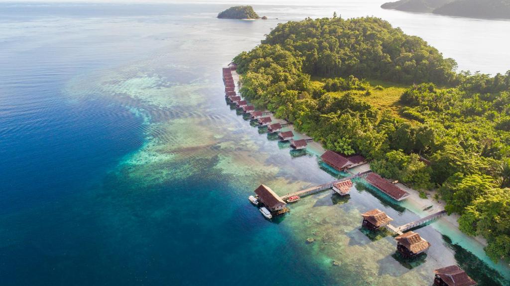 Pulau BiriePapua Paradise Eco Resort的海洋岛屿的空中景观