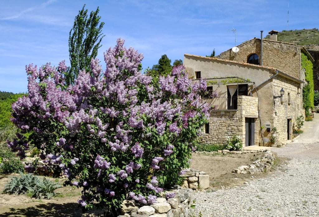 Montblanquet卡奥利维尔乡村民宿的一座建筑前的紫色花丛