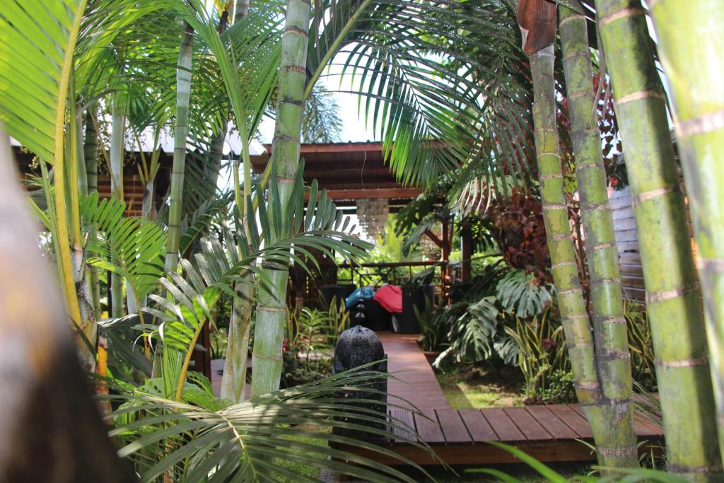 Le Bois de NèflesLodge Ylang Ylang, LIANE DE JADE 974 -piscine - jacuzzi privatif的种有棕榈树的花园,以及有人带雨伞