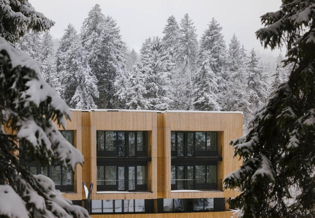 巴库里阿尼Apartment 216 with Terrace at Kokhta Ski, Bakuriani的一座被雪覆盖的建筑,有树为背景