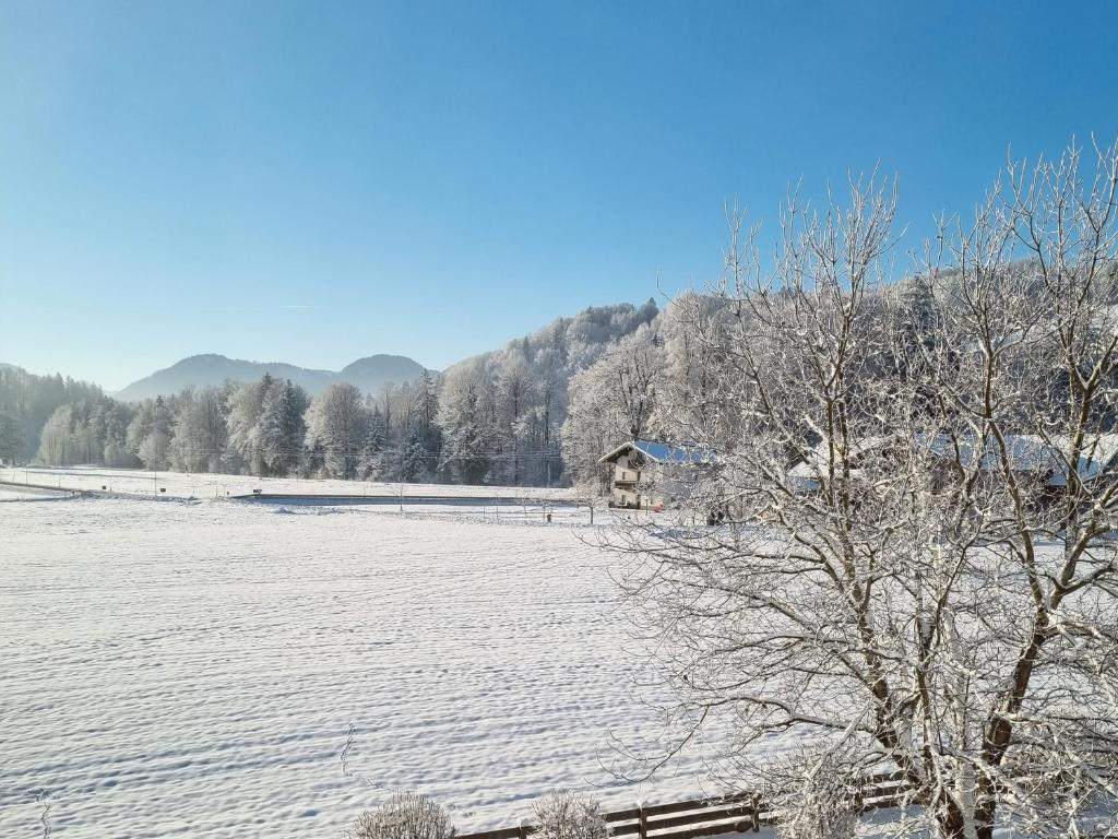 希格斯多夫Ferienwohnungen am Alpenrand的雪覆盖的田野,有房子的背景