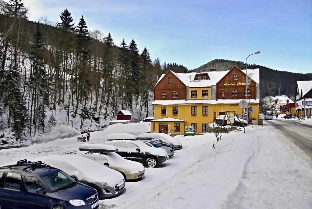 派克波特斯耐兹库Pension Cortina的停在房子前雪地里的一群汽车
