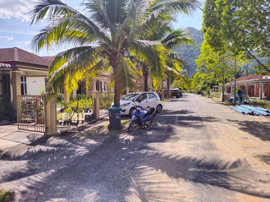 BalingSacha Permai Homestay的一条街道边的棕榈树和一辆摩托车