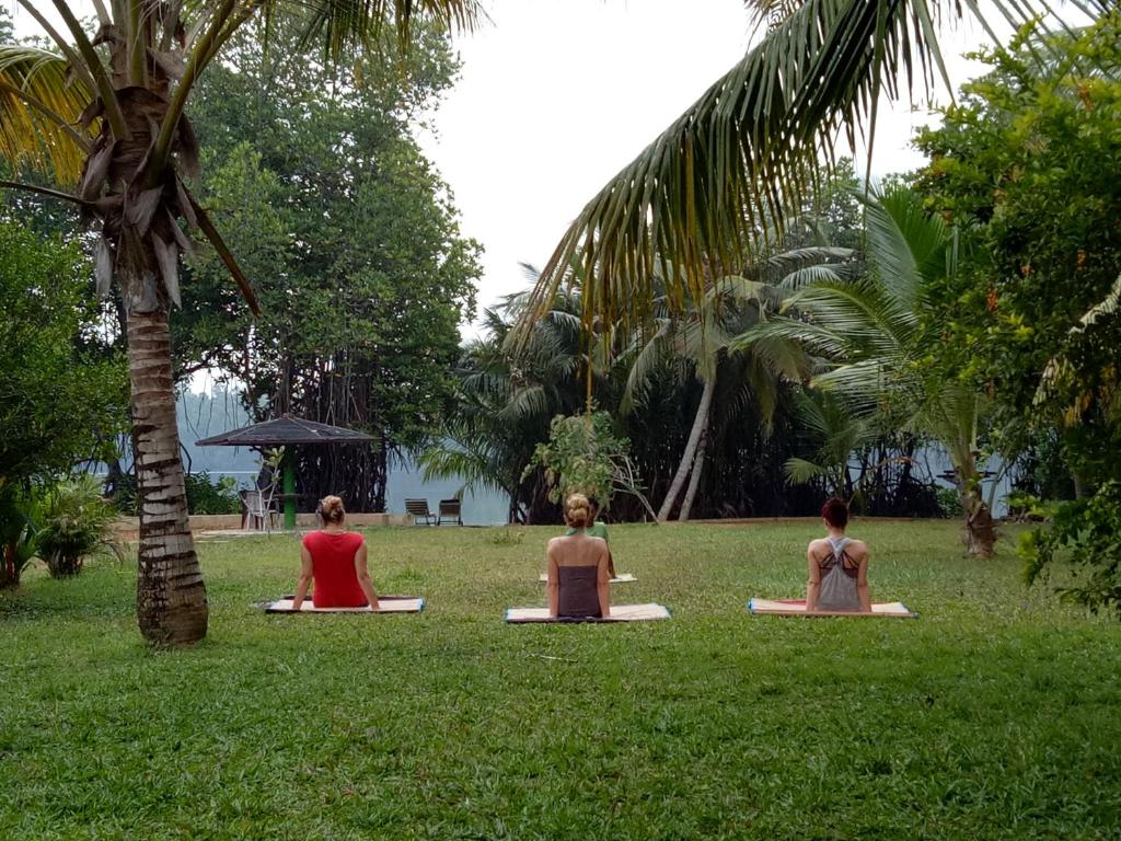 Mangrove villa - Yoga & Ayurveda外面的花园