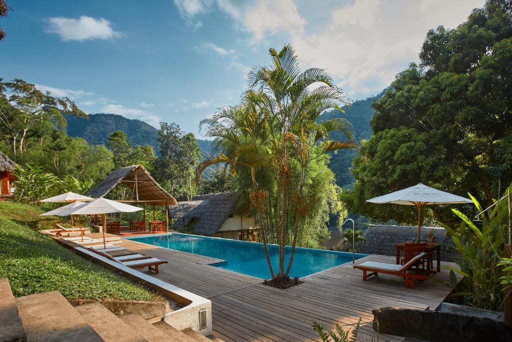 塔拉波托Pumarinri Amazon Lodge的一个带遮阳伞的游泳池和一个度假村