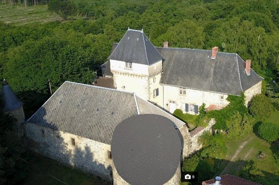 FromentalChâteau de Montautre的享有带屋顶的大房子的空中景致