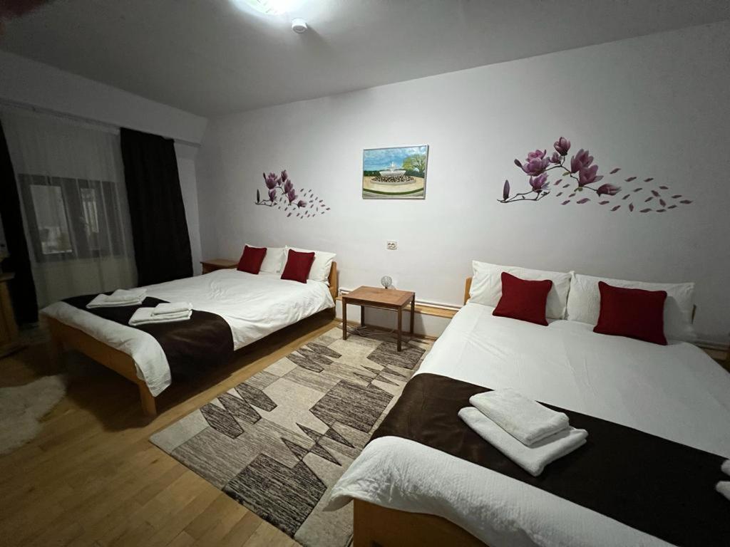 沃尔托普Pensiunea Aurora Vartop的酒店客房设有两张床和一张桌子。