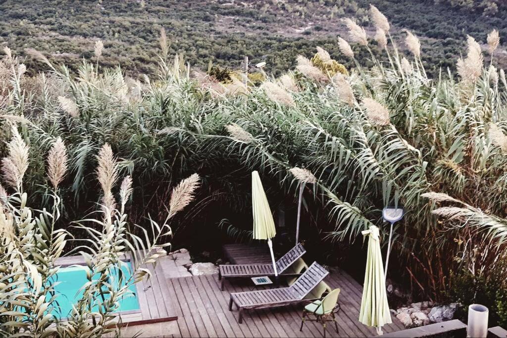 艾因霍德עין הוד בית בטבע עם בריכה שקט נוף מדהים להר ואדי והים的游泳池旁的甲板配有椅子和遮阳伞