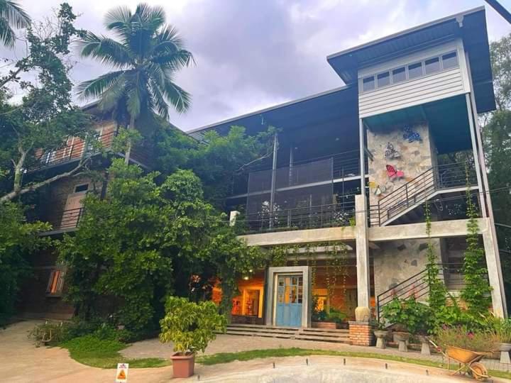 尼甘布Ceylon Kingsmen Garden Hotel - Katunayake的一座蓝色的大建筑,前面有一棵棕榈树