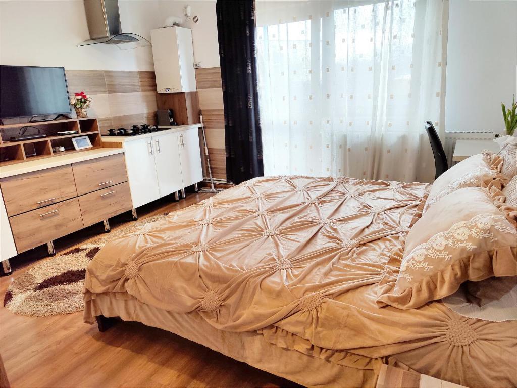 布拉索夫Casa de vis的一间卧室配有一张床和一个带电视的梳妆台