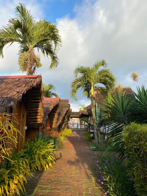 洛佩斯港Zutalu - Playa Sur的两栋棕榈树房屋之间的路径