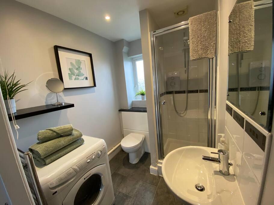 班戈Compact Modern Apartment Single Person or Couple Only的带淋浴水槽和洗衣机的浴室