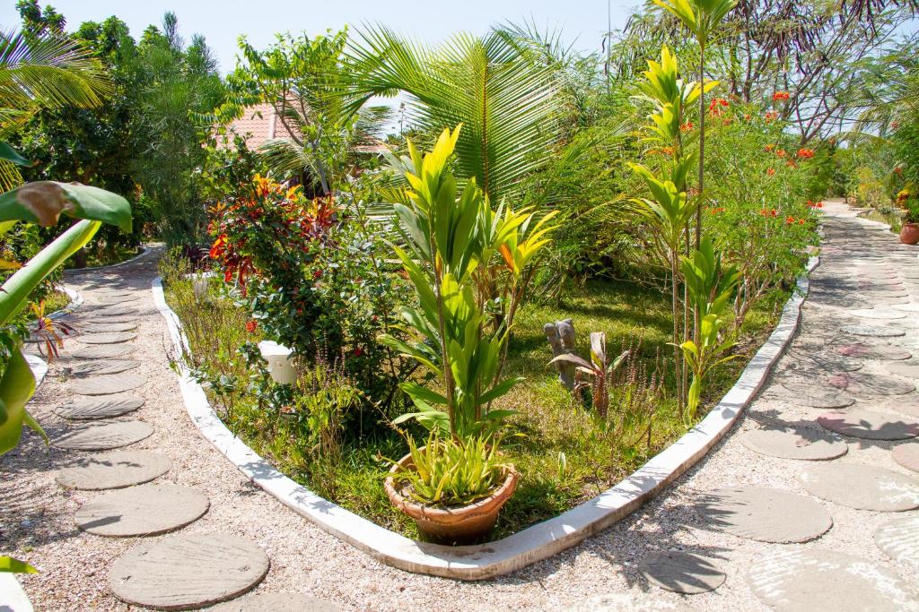 TanjiMama Africa Art Residence & Art Center Gambia的花园里种有植物和花卉