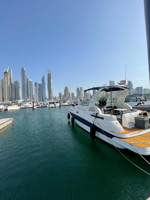 迪拜Yacht( boat )2 Beds, 1 Bath Dubai Eye Marina JBR的停靠在港口的白色船只