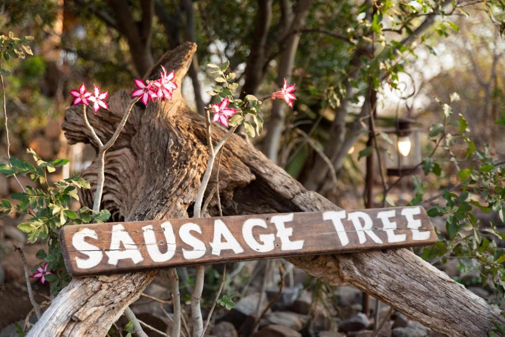 巴卢莱自然保护区腊肠树野生动物园露营地旅馆的树上 ⁇ 火的标志