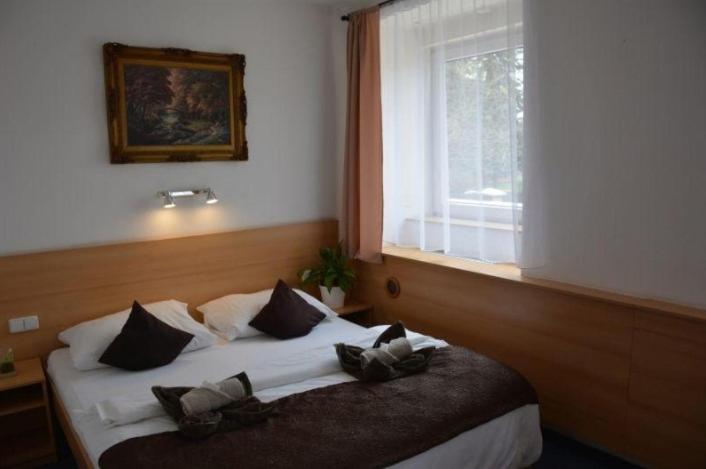 贝龙OK1酒店的卧室配有带枕头的床铺和窗户。
