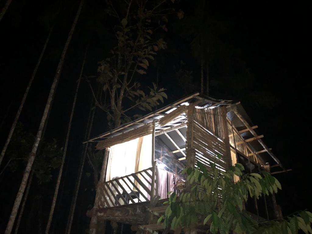 苏丹巴特利Lotus Jewel Forest Camping的夜晚有灯的树屋