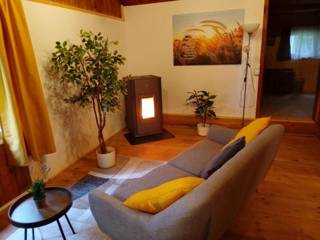 KaltenbergHütte Waldesruh的客厅配有沙发和桌子