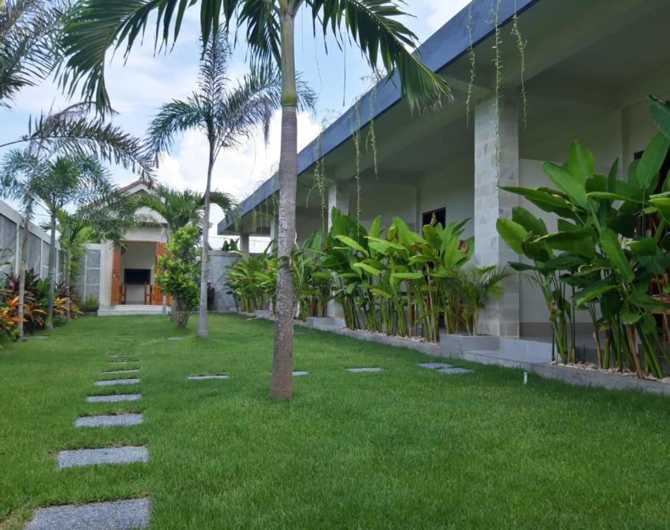 塞隆贝拉纳克kamala的棕榈树和草地房子的庭院