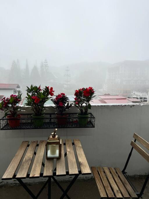 丹那拉打lily maison的鲜花阳台的桌子和时钟