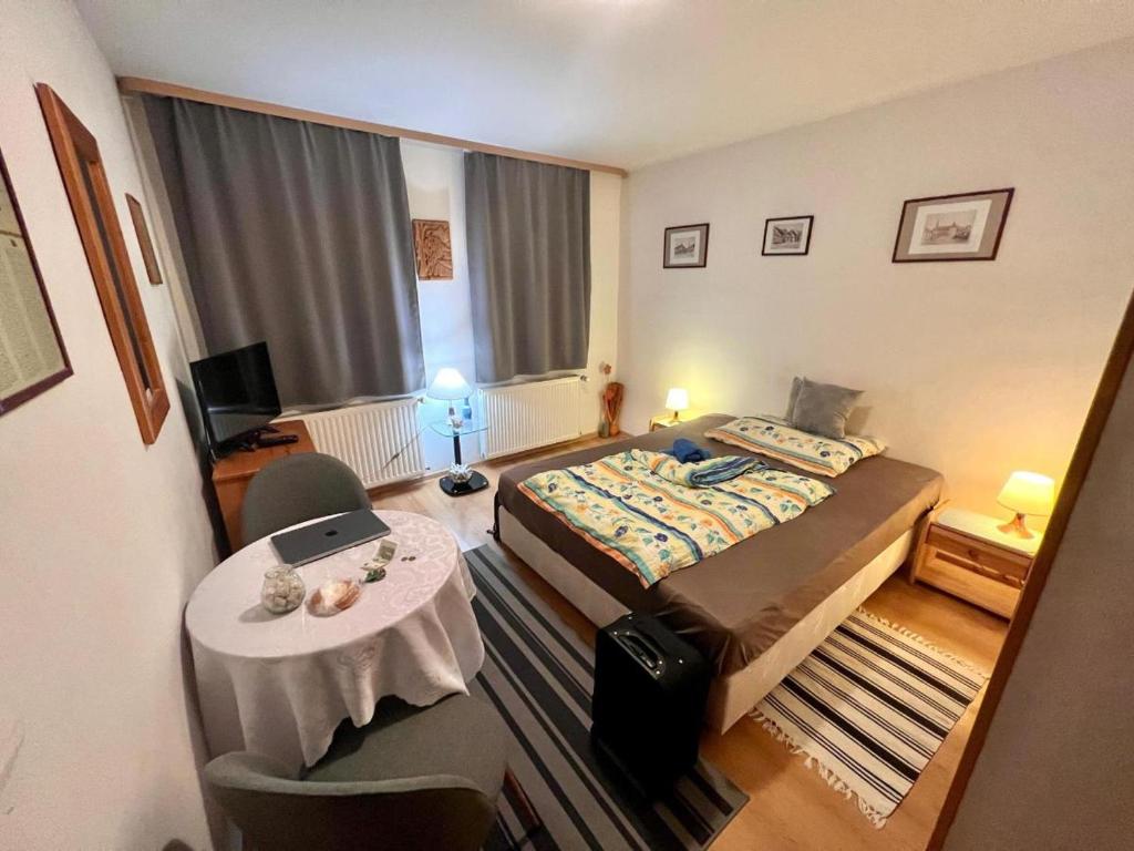 波普拉德伊维卡旅馆的小型酒店客房配有一张床和一张桌子