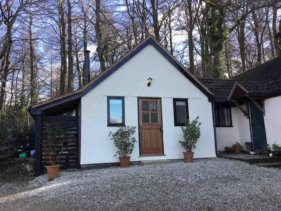 LonghopeCute studio cottage. Wood burner. Amazing views的白色的小小屋,设有棕色的门