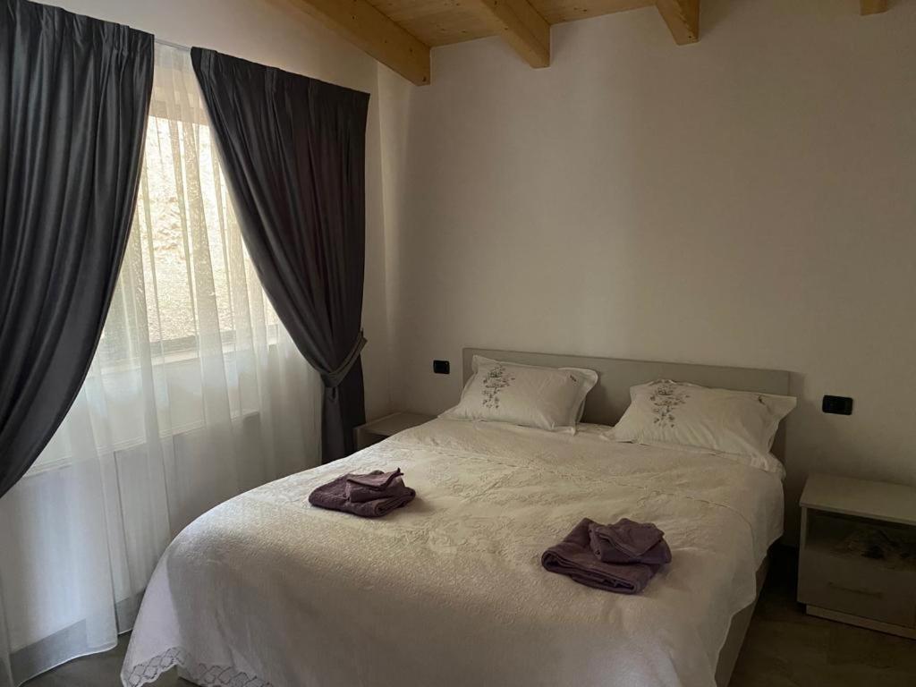 BorsaCabanele Olena的卧室配有白色的床和2条毛巾