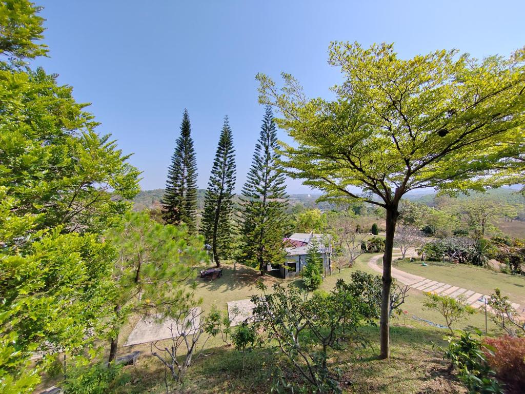 王南安科Baan Suan Plearndara的享有树木公园和房屋的景色