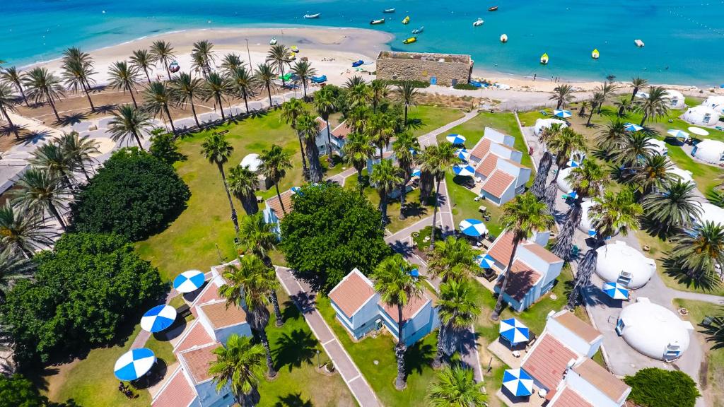 Dor多尔田园酒店的棕榈树和海滩度假村的空中景致