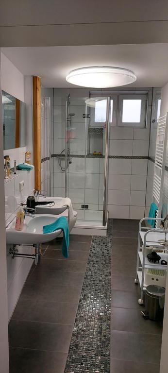 Usedom TownInselhof Usedom的一间医院间,配有淋浴和盥洗盆