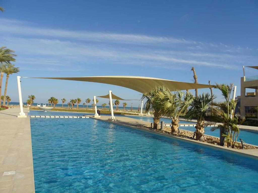 赫尔格达Mangroovy Ritzy, Cerulean appartement by the pool的棕榈树覆盖的游泳池